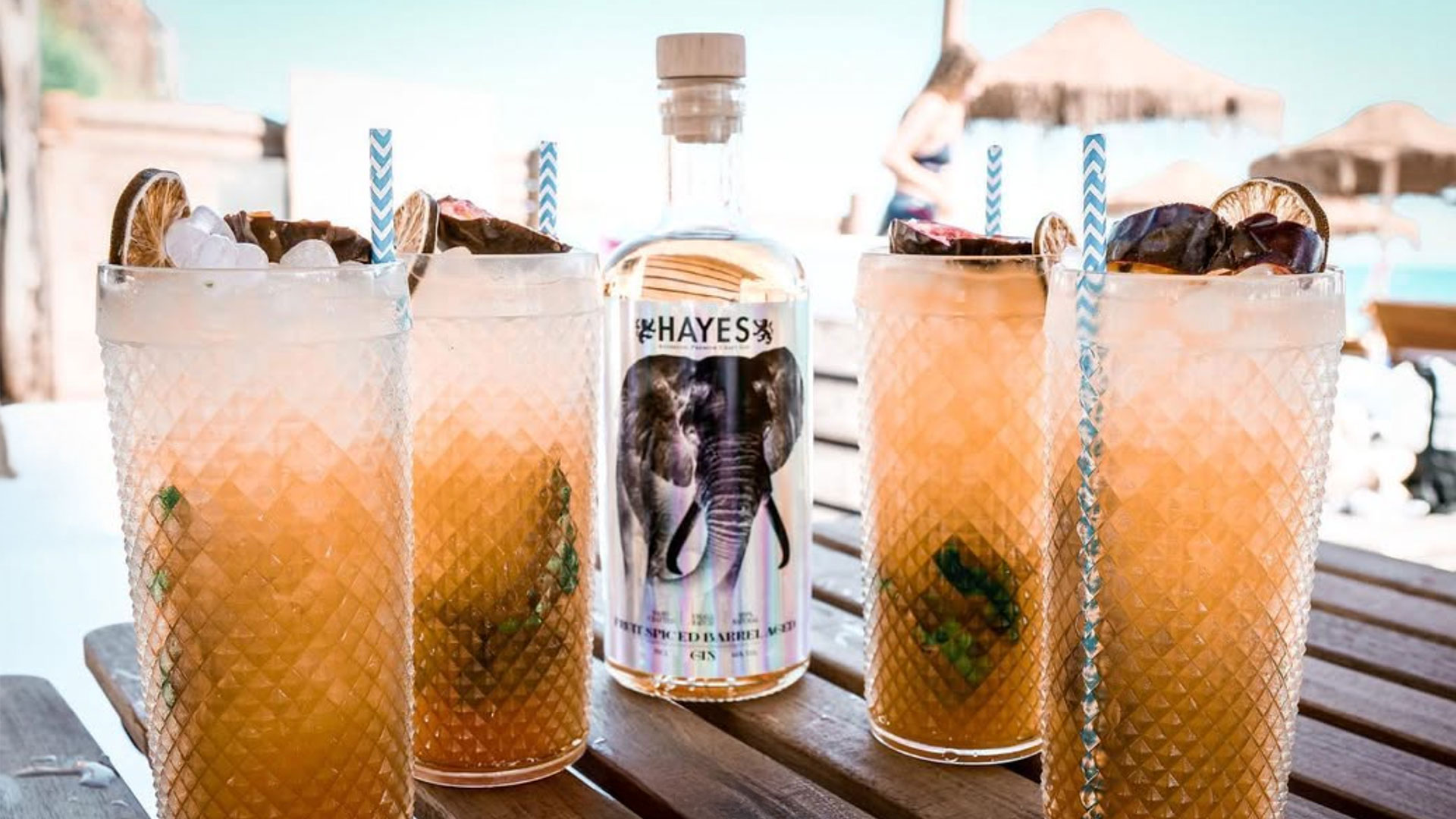 Hayes_Spiced_Gin